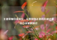 王者荣耀白金段位，从青铜到王者的关键过渡及白金星数探讨
