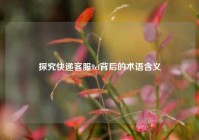 探究快递客服9cf背后的术语含义