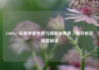 CSGO，设置弹道参数与调明显弹道，提升射击精度秘诀