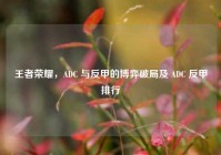 王者荣耀，ADC 与反甲的博弈破局及 ADC 反甲排行