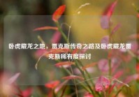 卧虎藏龙之地，贾克斯传奇之路及卧虎藏龙贾克斯稀有度探讨