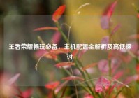 王者荣耀畅玩必备，主机配置全解析及高低探讨
