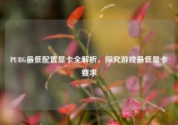 PUBG最低配置显卡全解析，探究游戏最低显卡要求