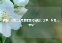 探秘LOL腥红之月亚索图片的魅力世界，附图片大全