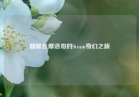 鼹鼠在摩洛哥的Steam奇幻之旅