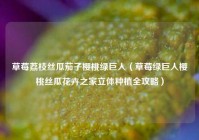 草莓荔枝丝瓜茄子樱桃绿巨人（草莓绿巨人樱桃丝瓜花卉之家立体种植全攻略）