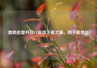 借助迅雷开启CF高效下载之旅，附下载地址