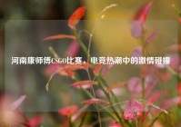 河南康师傅CSGO比赛，电竞热潮中的激情碰撞