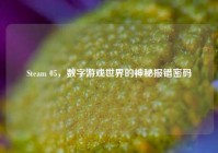 Steam 05，数字游戏世界的神秘报错密码
