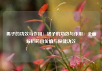 蝎子的功效与作用：蝎子的功效与作用：全面解析药用价值与保健功效