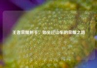 王者荣耀射手，如坐过山车的荣耀之路