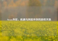 Steam外区，机遇与风险并存的游戏天地
