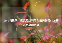 CSGO与战网，探究游戏与平台的关联及CSGO是否为战网之谜