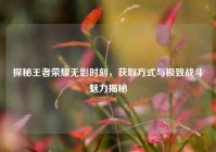 探秘王者荣耀无影时刻，获取方式与极致战斗魅力揭秘
