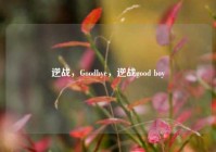 逆战，Goodbye，逆战good boy