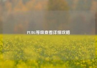 PUBG等级查看详细攻略