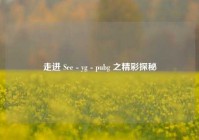 走进 See - yg - pubg 之精彩探秘
