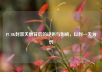 PUBG封禁天数背后的规则与影响，以封一天为例