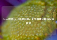Steam检测Apex及D盘问题，关乎游戏环境与玩家体验