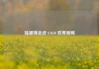 陆展博走进 CSGO 世界视频