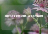 探秘王者荣耀阿冷微博，解锁游戏新视界