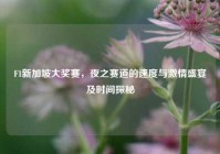 F1新加坡大奖赛，夜之赛道的速度与激情盛宴及时间探秘