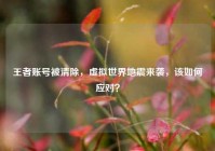 王者账号被清除，虚拟世界地震来袭，该如何应对？
