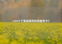 CSGO十个紫皮肤的价格是多少？