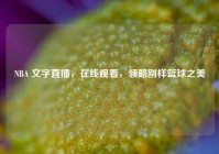 NBA 文字直播，在线观看，领略别样篮球之美