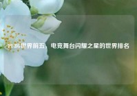 PUBG世界前五，电竞舞台闪耀之星的世界排名