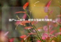 国产Steam软件，游戏分发新势力崛起