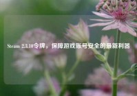 Steam 2.3.10令牌，保障游戏账号安全的最新利器