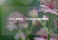 PUBG 弹语音，开启游戏沟通新体验