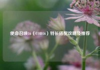 使命召唤16（COD16）特长搭配攻略及推荐