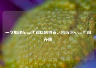 一文揭秘Steam代购网站推荐，告诉你Steam代购在哪