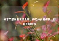 王者荣耀王者星数上线，开启排位新征程，教你如何查看