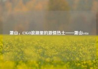 萧山，CSGO浪潮里的激情热土——萧山cstu