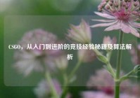 CSGO，从入门到进阶的竞技经验秘籍及算法解析