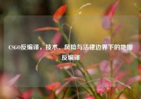 CSGO反编译，技术、风险与法律边界下的地图反编译
