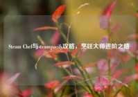 Steam Chef与steampacify攻略，烹饪大师进阶之路