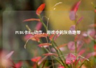 PUBG卡Bug动作，游戏中的灰色地带