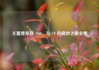 王富贵穿越 1960，与 CF 的奇妙之旅全集
