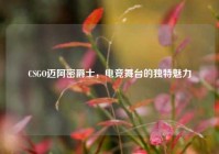 CSGO迈阿密爵士，电竞舞台的独特魅力