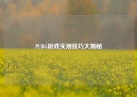 PUBG游戏实用技巧大揭秘