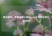新光神话，帕鲁迪娜之镜在Steam平台开启奇幻新征程