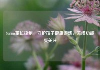 Steam家长控制，守护孩子健康游戏，关闭功能受关注