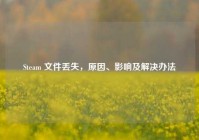 Steam 文件丢失，原因、影响及解决办法