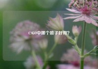 CSGO中哪个喷子好用？