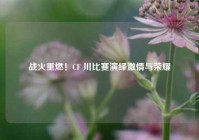 战火重燃！CF 川比赛演绎激情与荣耀