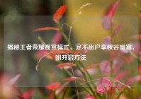 揭秘王者荣耀观赏模式，足不出户享峡谷盛宴，附开启方法